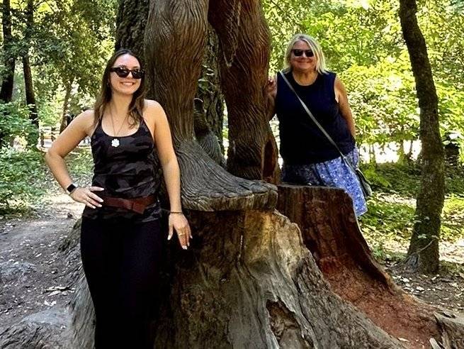 Redwoods: Envoys from Another Realm